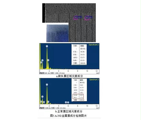 缺失膜与正常膜区域的元素检测结果