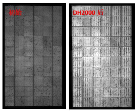 图13 组件采用VA33含量EVA封装后，DH2000前后的EL图